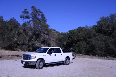 DSC_2081 (Large).JPG